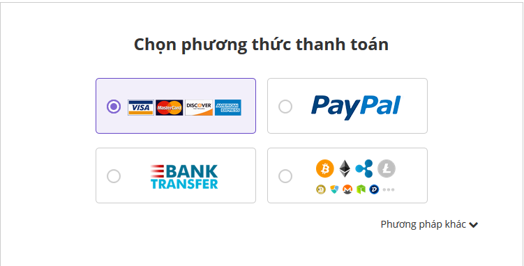 domain payment method